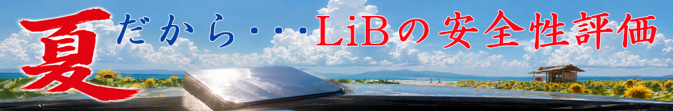 LiB安全性評価